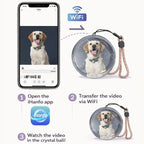 MemoryAura Decor Orb™