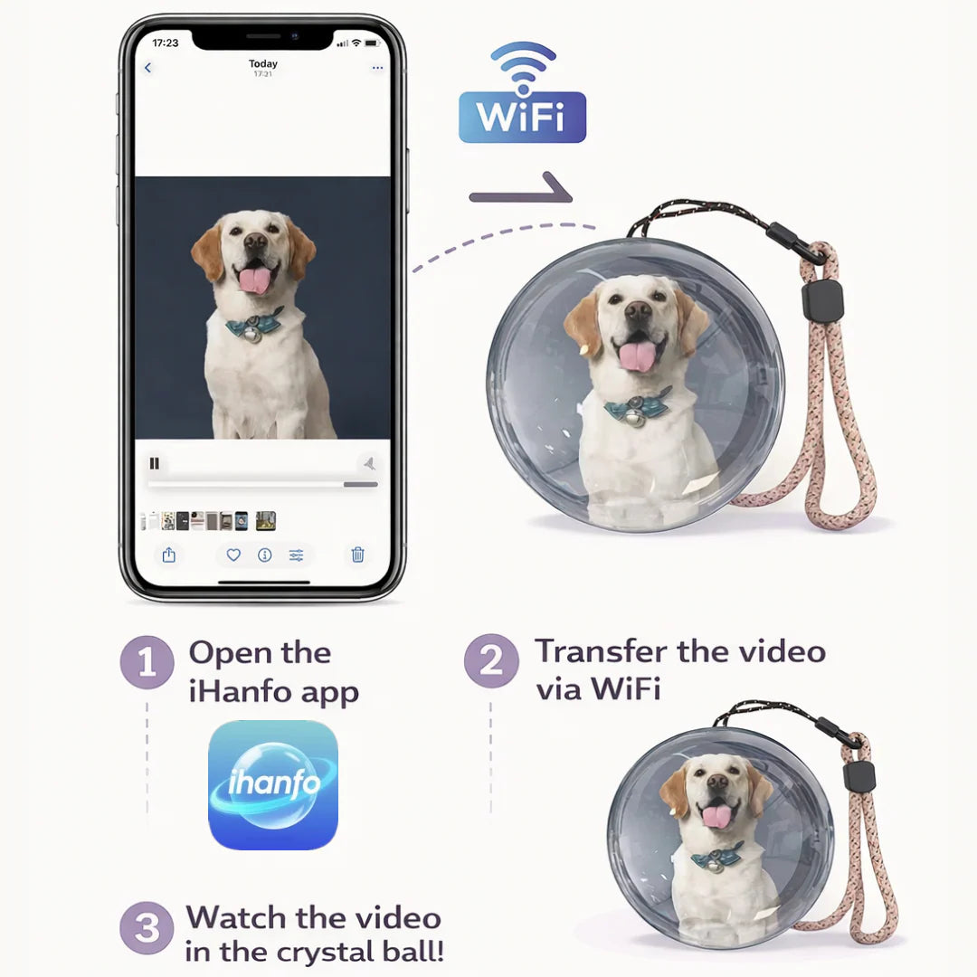 MemoryAura Decor Orb™